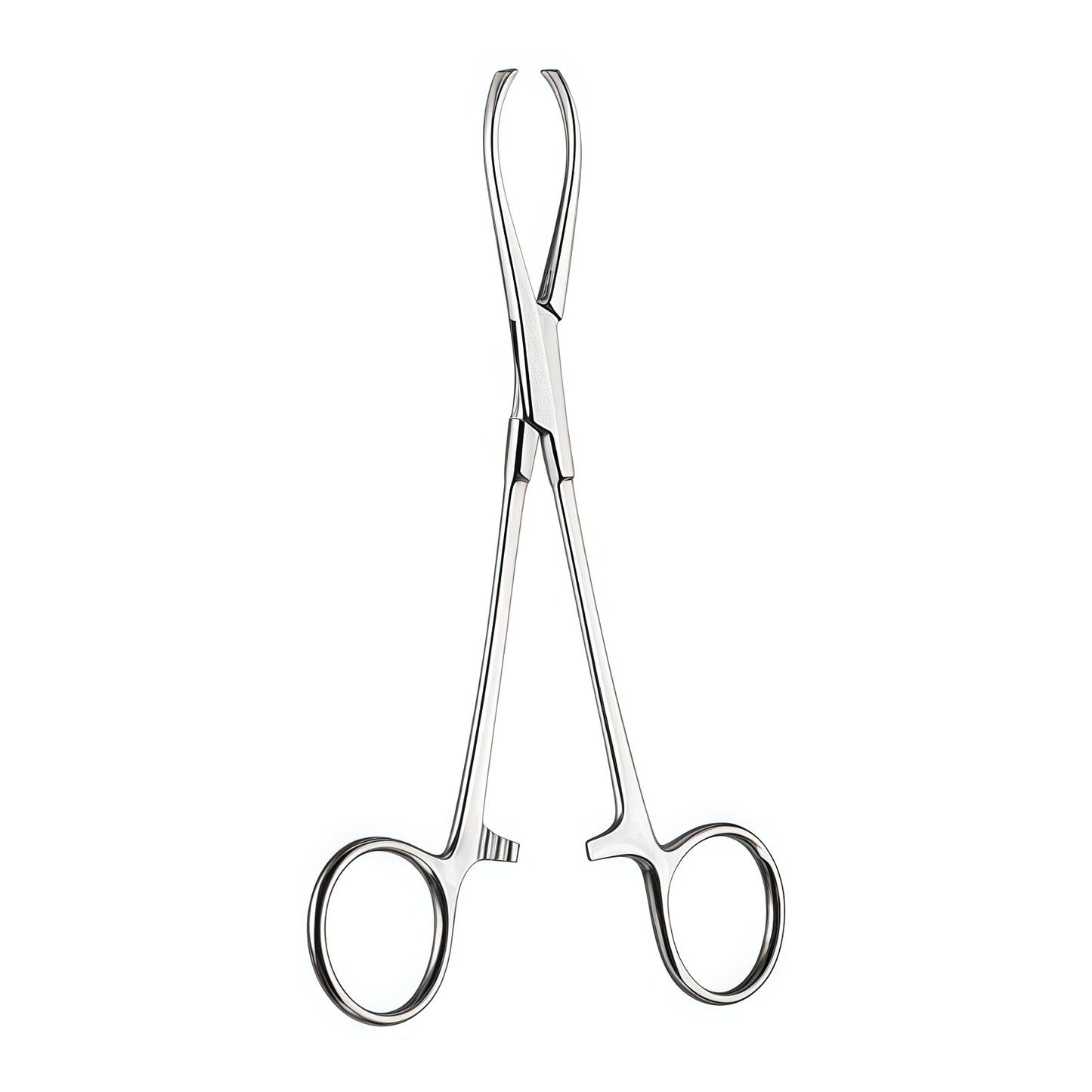 Rutherford Morison Allis Tissue Forceps – High-Quality German Stainless Steel Surgical Instrument for Precision Grasping and Holding Tissue