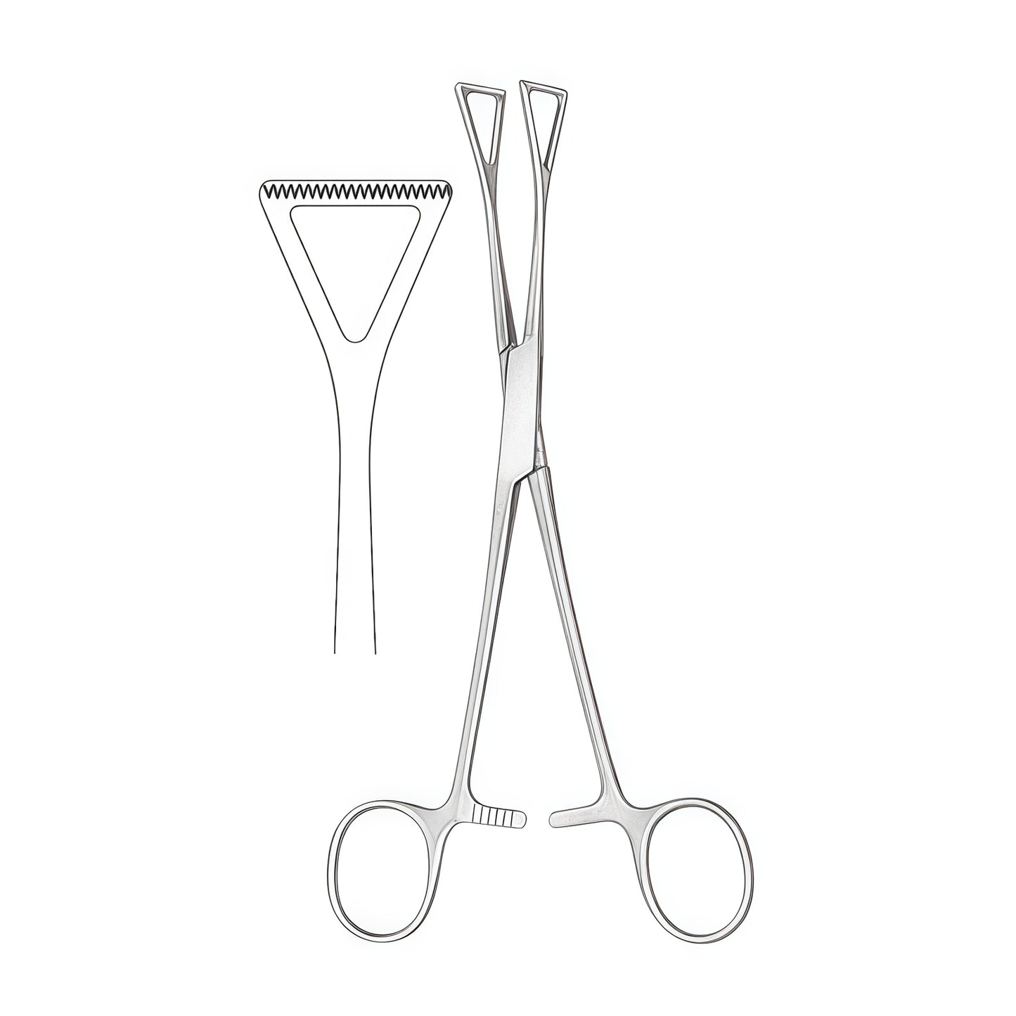 Duval Allis Tissue Forceps - Premium Surgical Instrument