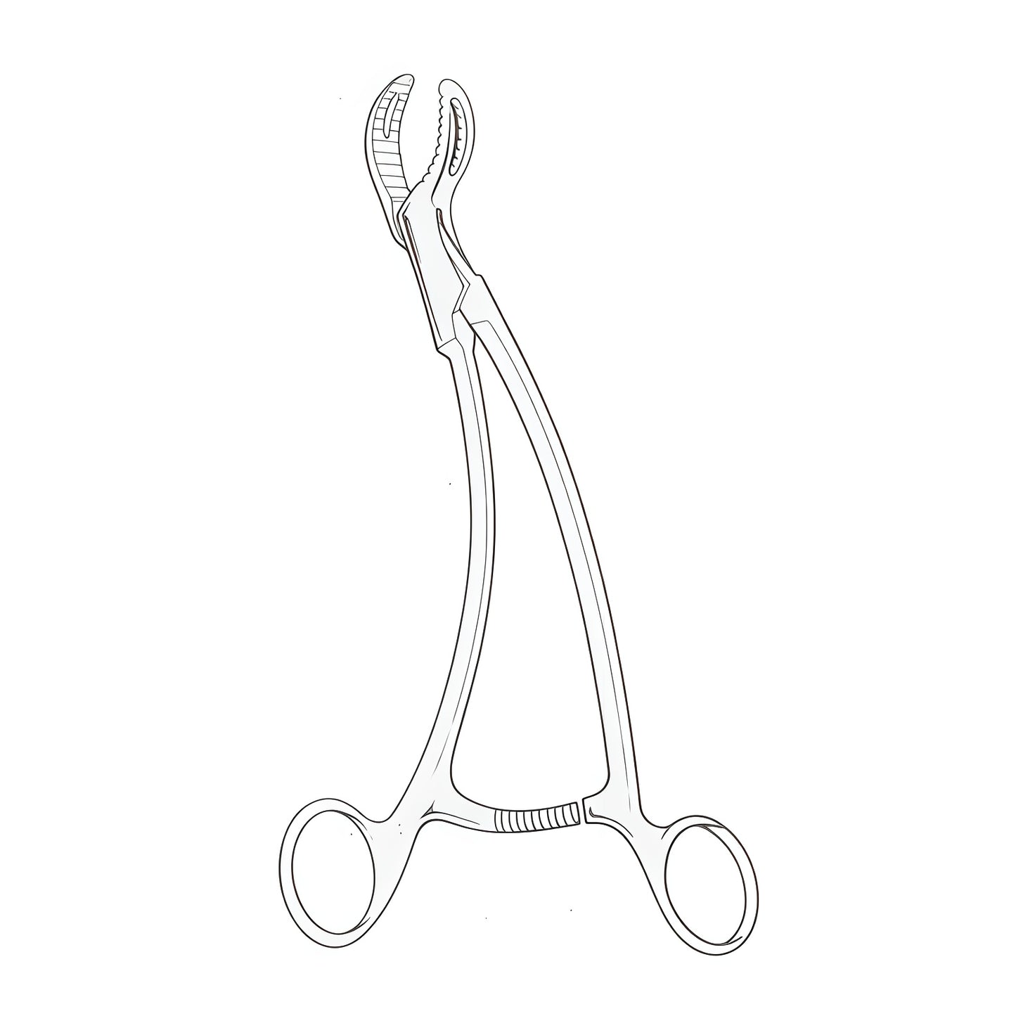 Burns Bone Holding Forceps – Precision and Control for Orthopedic Surgery