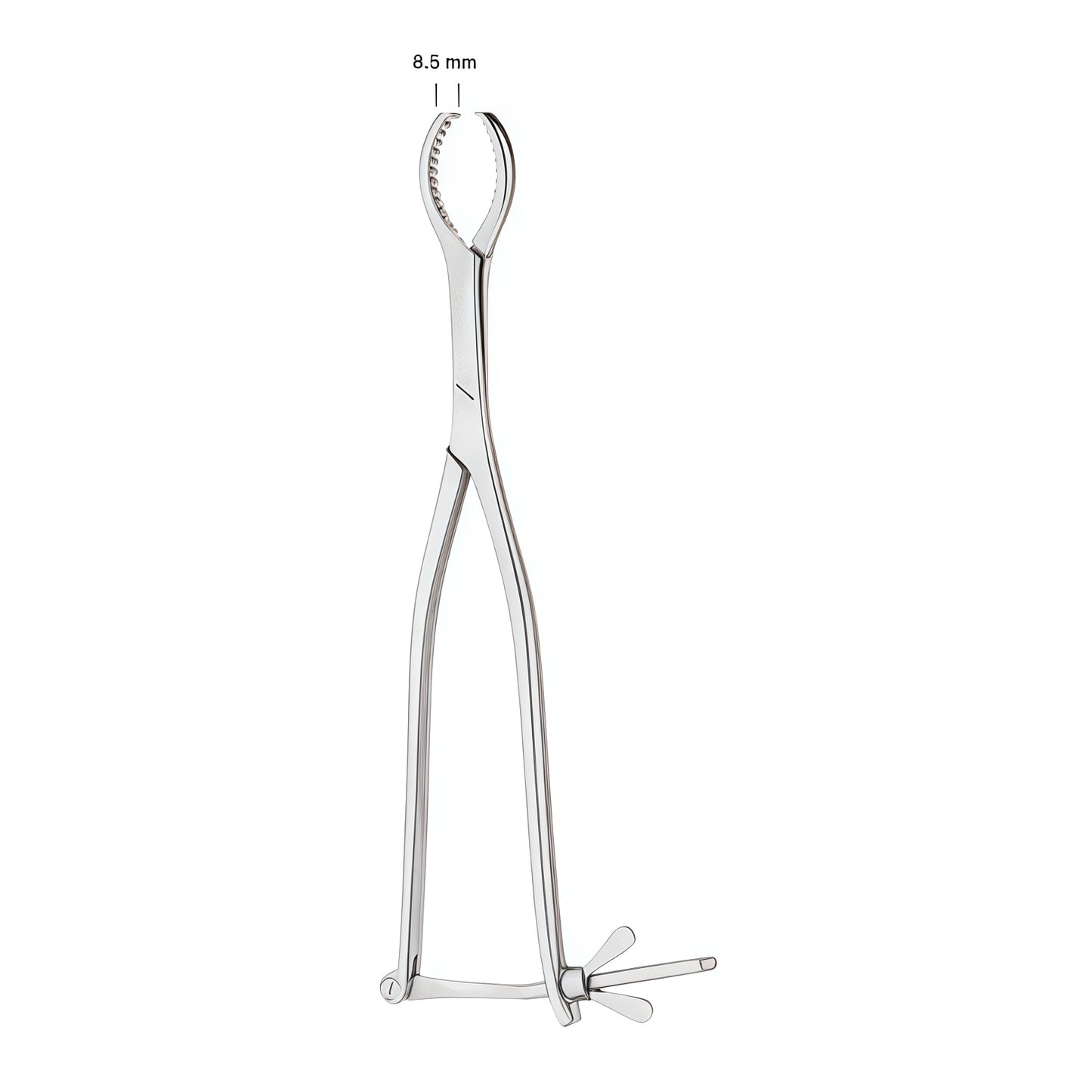 Groves Bone Holding Forceps – Precision and Control for Bone Fixation