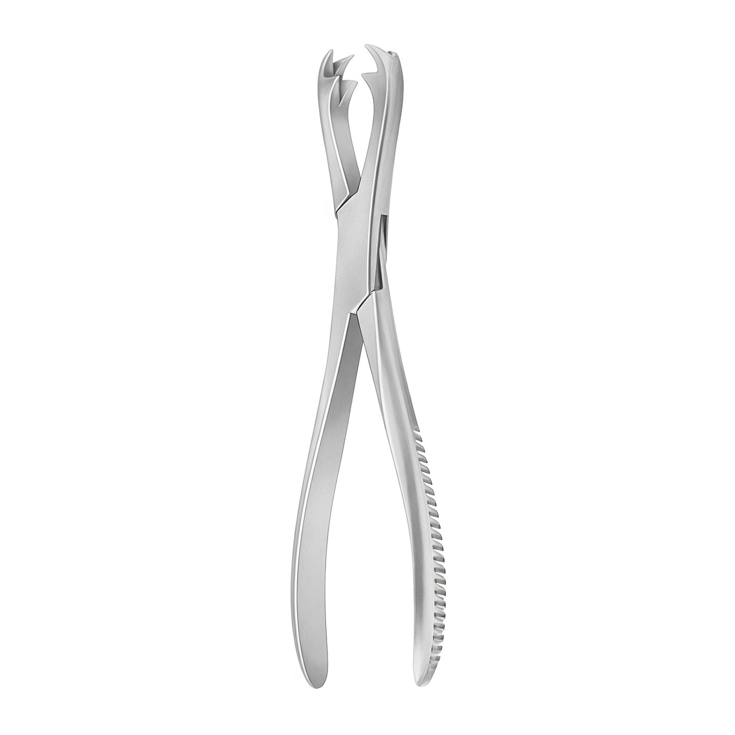 Ferguson Bone Holding Forceps – Precision and Stability for Bone Alignment in Surgery