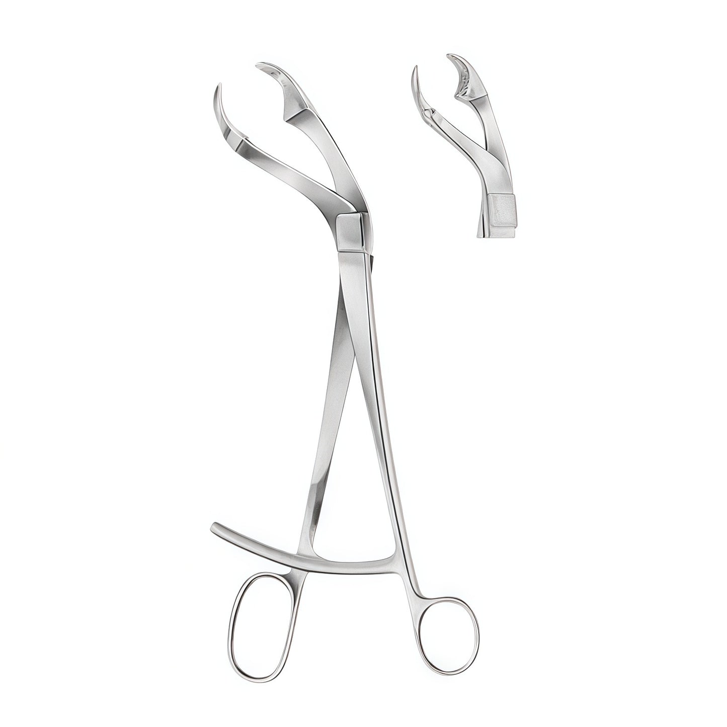 Verbrugge Bone Holding Forceps – Precision and Control for Bone Fixation
