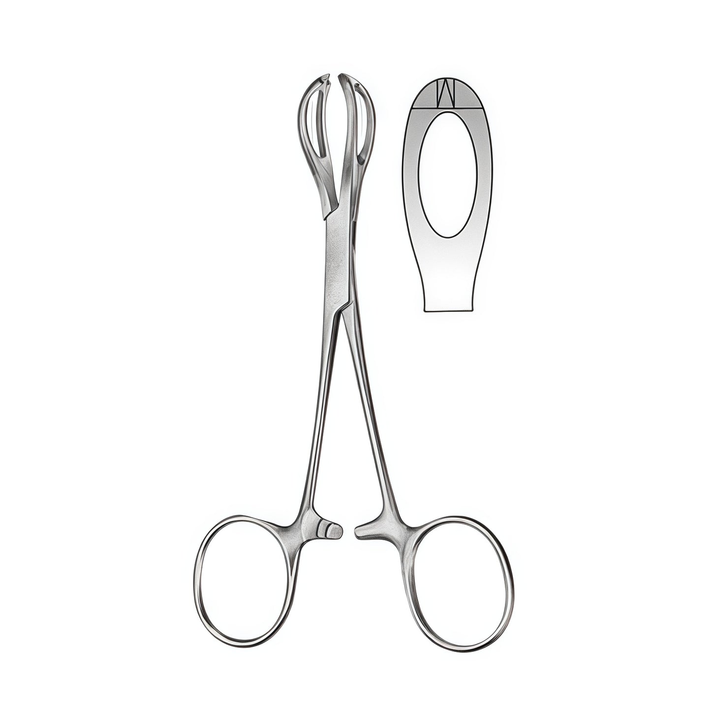 Lane Tissue Forceps – 1 x 2 Teeth, Fenestrated, 125mm Size