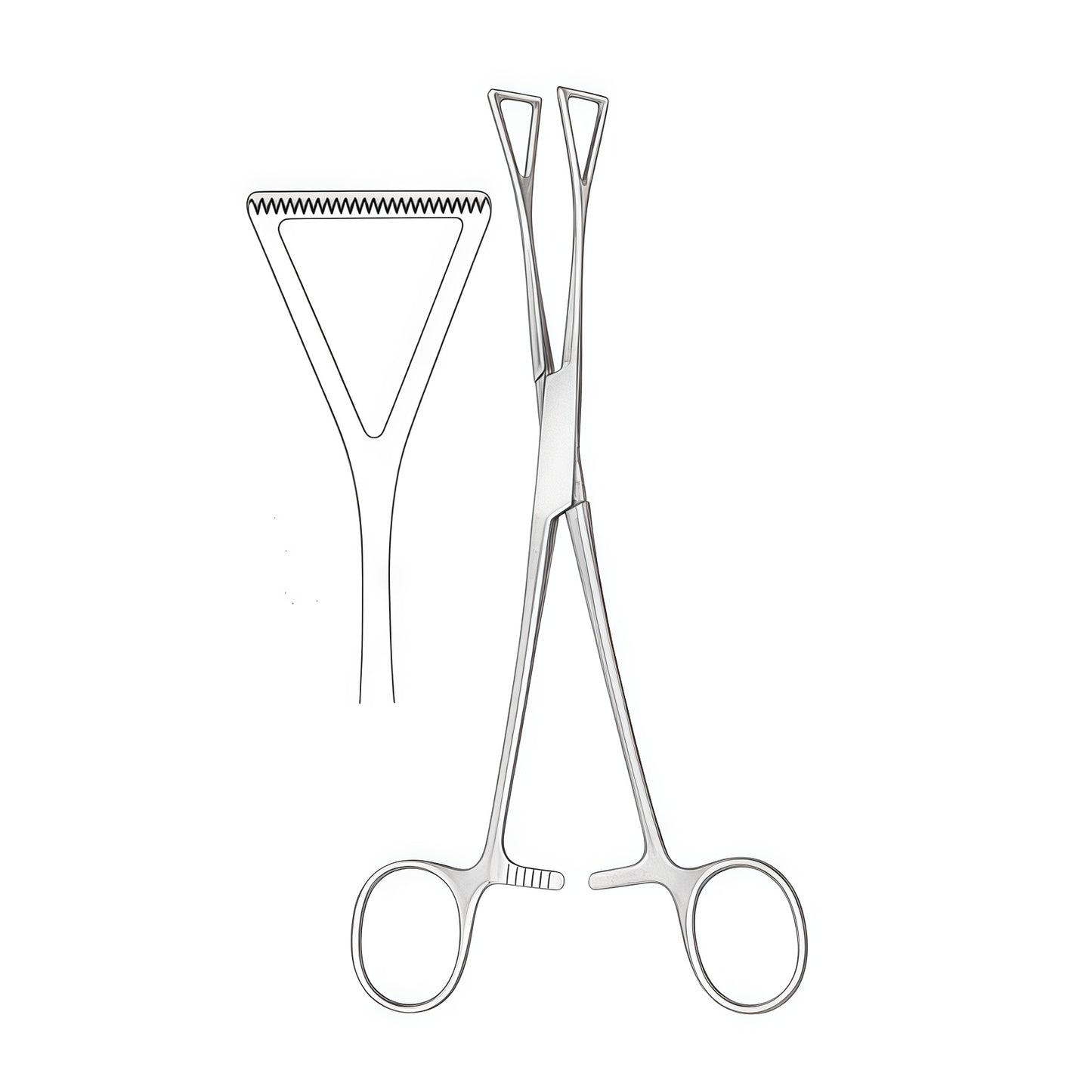 Duval Allis Tissue Forceps - Premium Surgical Instrument