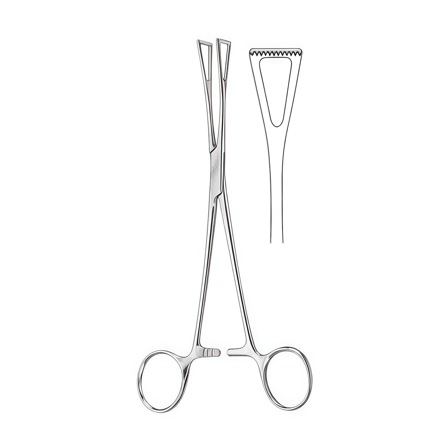 Duval Allis Tissue Forceps - Premium Surgical Instrument