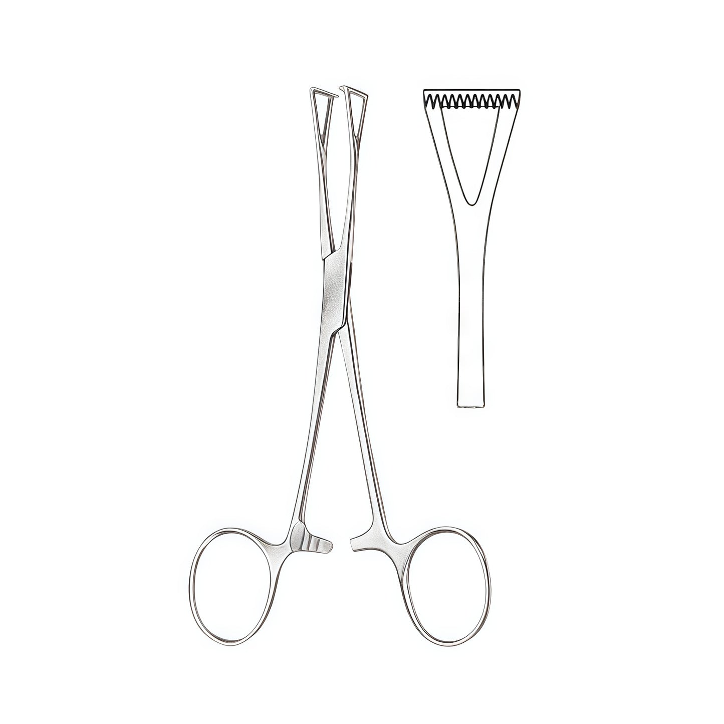 Duval Allis Tissue Forceps - Premium Surgical Instrument