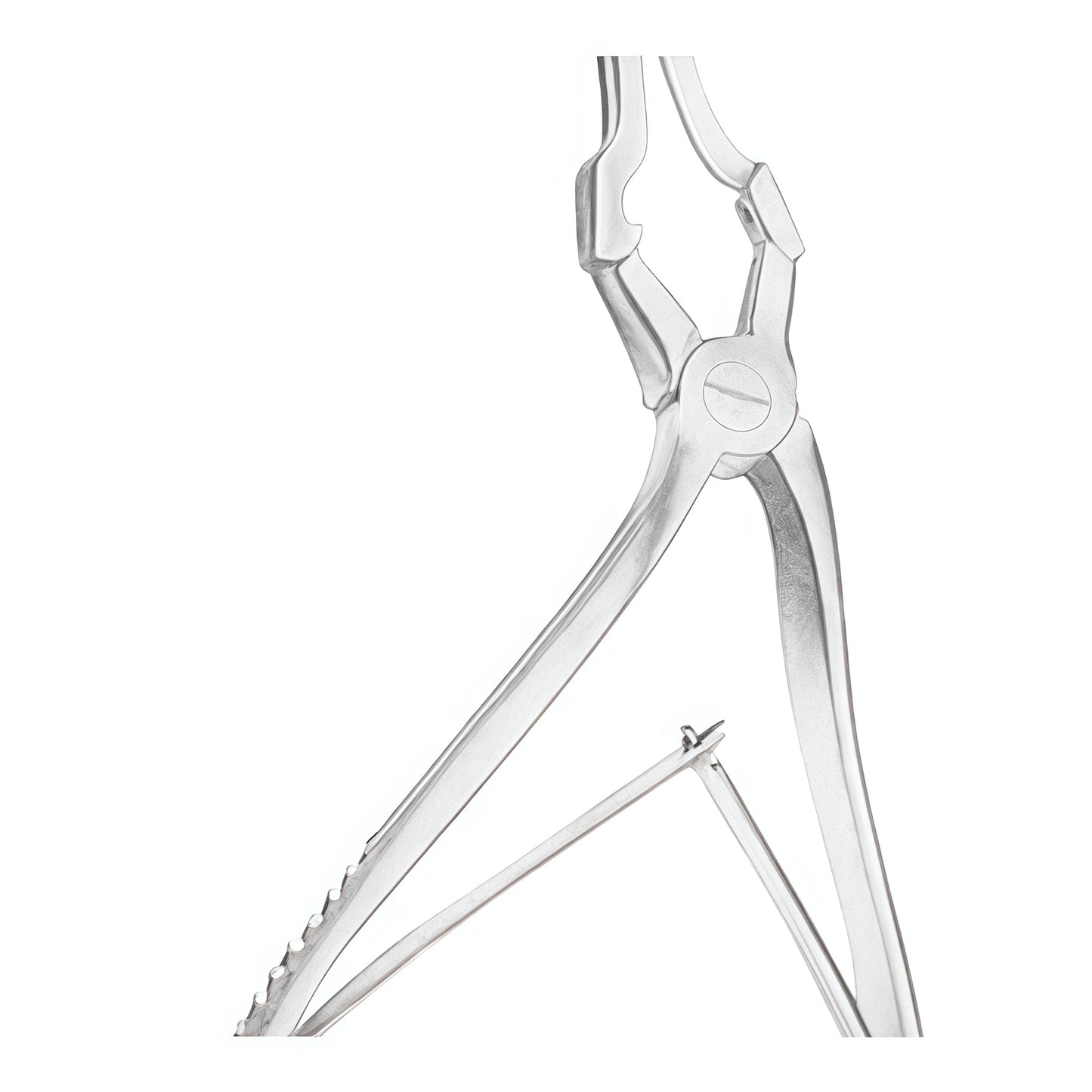 Jansen-Struycken Septum Forceps – Precision and Control for Nasal and Sinus Surgeries