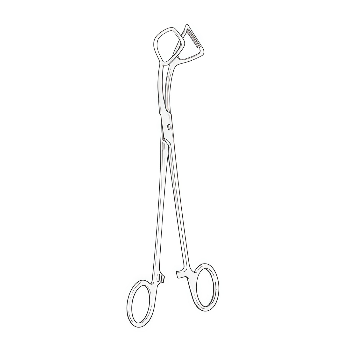 Mouat Gallbladder Lifting Forceps – Precision in Gallbladder Surgery